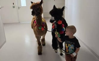 Pomóżcie nam zaczarować szpitale