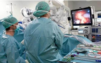 Wsparcie działań Fundacji