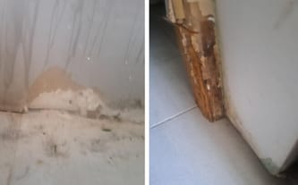 Elżbieta Korziewicz