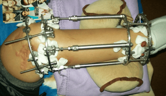 Wiktoria Trojanowicz