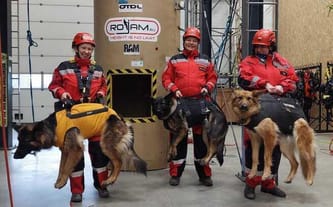 Wsparcie dla psów GRS PCK Trójmiasto