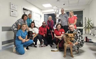 Wsparcie dla psów GRS PCK Trójmiasto