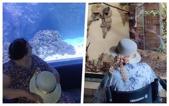 Zbiórka dla Mieszkanek Domu Pomocy Społecznej św. Wincentego w Chorzowie