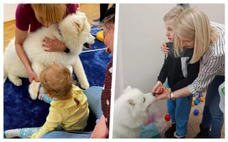 Zdrowie psychiczne i dogoterapia – razem dla lepszego jutra!