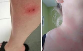 Agnieszka Maciejewska