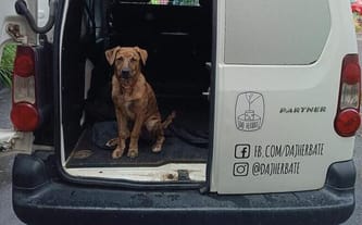 Fundacja Daj Herbatę