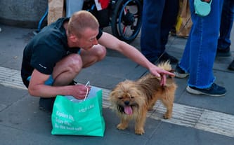 Dołącz do akcji ZWIERZĘTA Z DWORCA. Nie pozwól, by były głodne!
