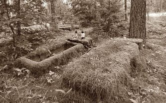 Stowarzyszenie "Memento Mori"