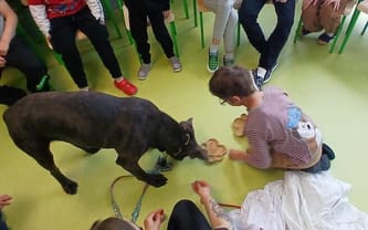 Tworzymy Przestrzeń dla Wszystkich – Twoje Wsparcie Ma Znaczenie!