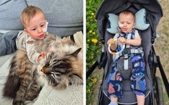 Aleksander Majchrzak