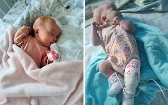 Małgorzata Zygmanowska