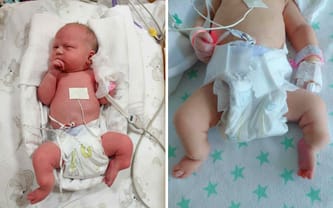 Zofia Dziedzic-Pacławska