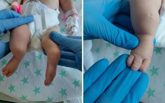 Zofia Dziedzic-Pacławska