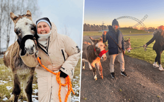 🫏 Dom dla Bochenka i Chałki – remontujemy lednicką oślą zagrodę!