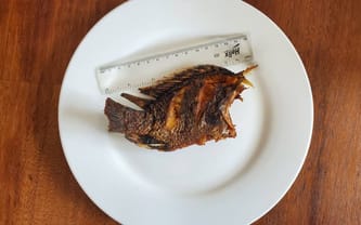 🐟 STAW, KTÓRY NAKARMI DZIECI 🐟