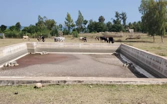 🐟 STAW, KTÓRY NAKARMI DZIECI 🐟