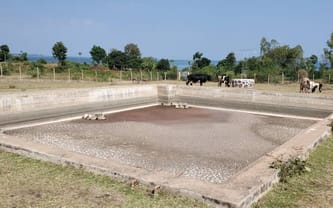 🐟 STAW, KTÓRY NAKARMI DZIECI 🐟