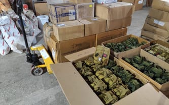 pomoc ofiarom wojny w Ukrainie