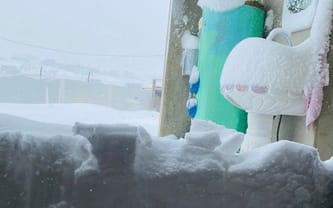 Wspieramy edukację kobiet i dzieci w Iraku