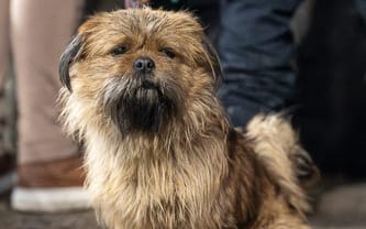 Dołącz do akcji ZWIERZĘTA Z DWORCA. Nie pozwól, by były głodne!