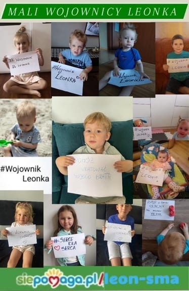 Zdjęcie główne wgrane przez użytkownika