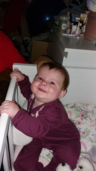 Zdjęcie główne wgrane przez użytkownika