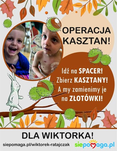 Zdjęcie główne wgrane przez użytkownika