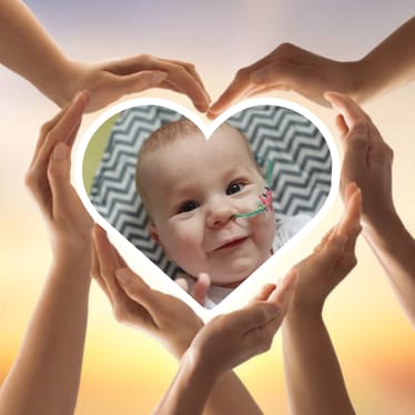 Main photo uploaded by the user