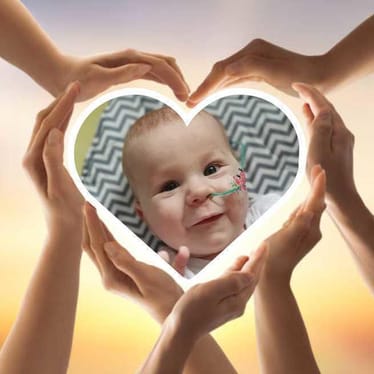 Main photo uploaded by the user