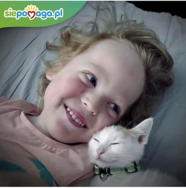 Zdjęcie główne wgrane przez użytkownika