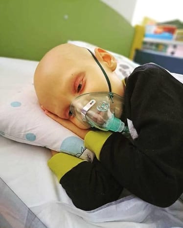 Zdjęcie główne wgrane przez użytkownika