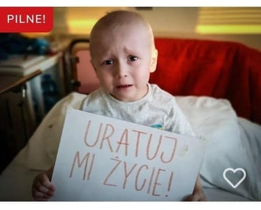 Zdjęcie główne wgrane przez użytkownika