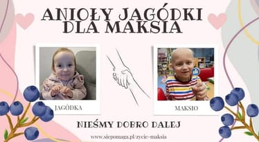 Main photo uploaded by the user