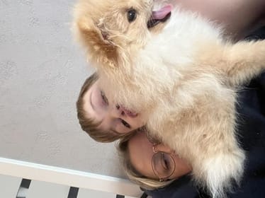 Main photo uploaded by the user