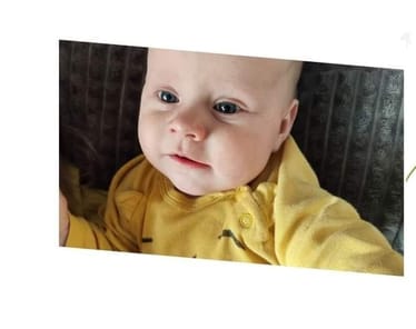 Main photo uploaded by the user