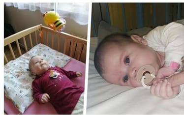 Main photo uploaded by the user