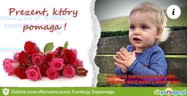 Main photo uploaded by the user