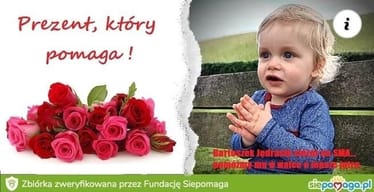 Zdjęcie główne wgrane przez użytkownika