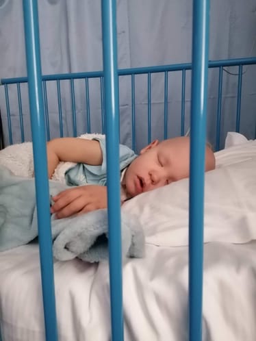 Zdjęcie główne wgrane przez użytkownika