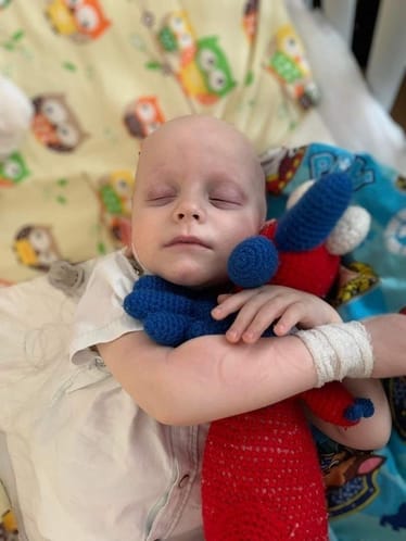 Main photo uploaded by the user