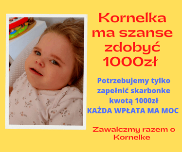 Main photo uploaded by the user