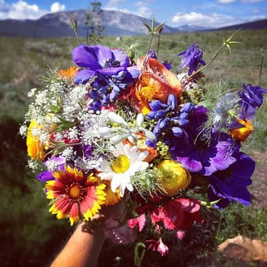 Zdjęcie główne wgrane przez użytkownika