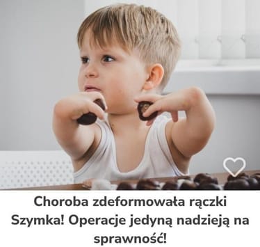 Zdjęcie główne wgrane przez użytkownika
