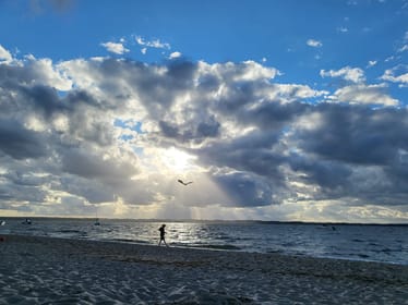 Main photo uploaded by the user