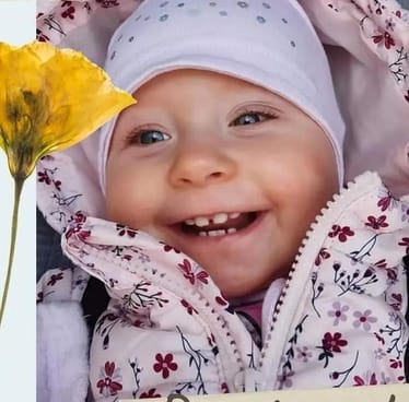 Main photo uploaded by the user