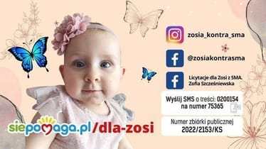 Zdjęcie główne wgrane przez użytkownika