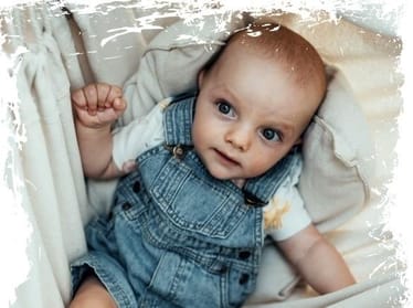 Zdjęcie główne wgrane przez użytkownika