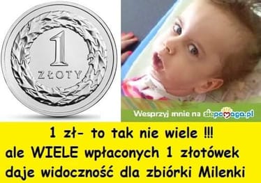 Main photo uploaded by the user