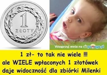 Main photo uploaded by the user