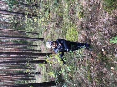 Zdjęcie główne wgrane przez użytkownika